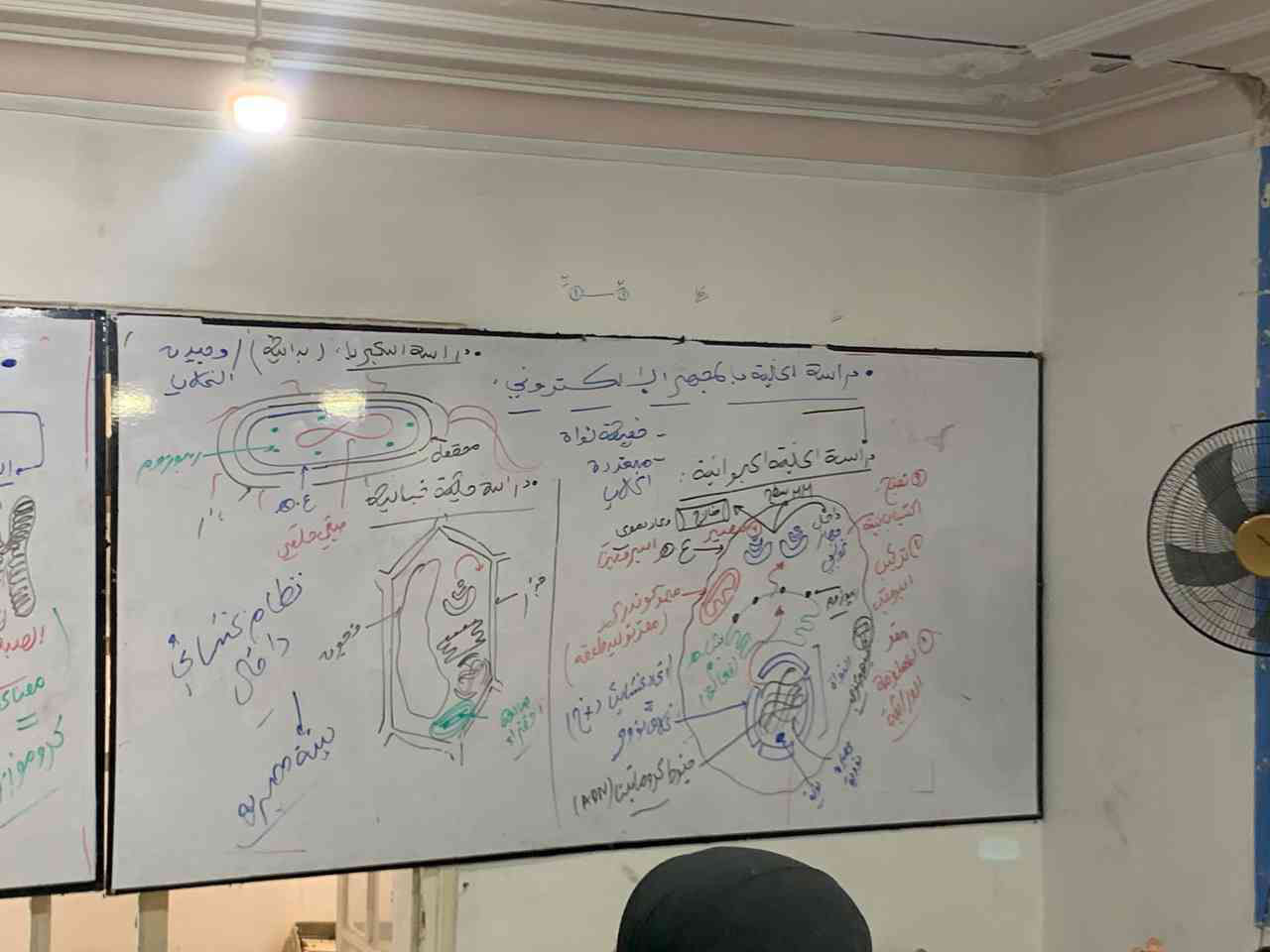 مكتسبات واساسيات العلوم الطبيعية💫 (1)