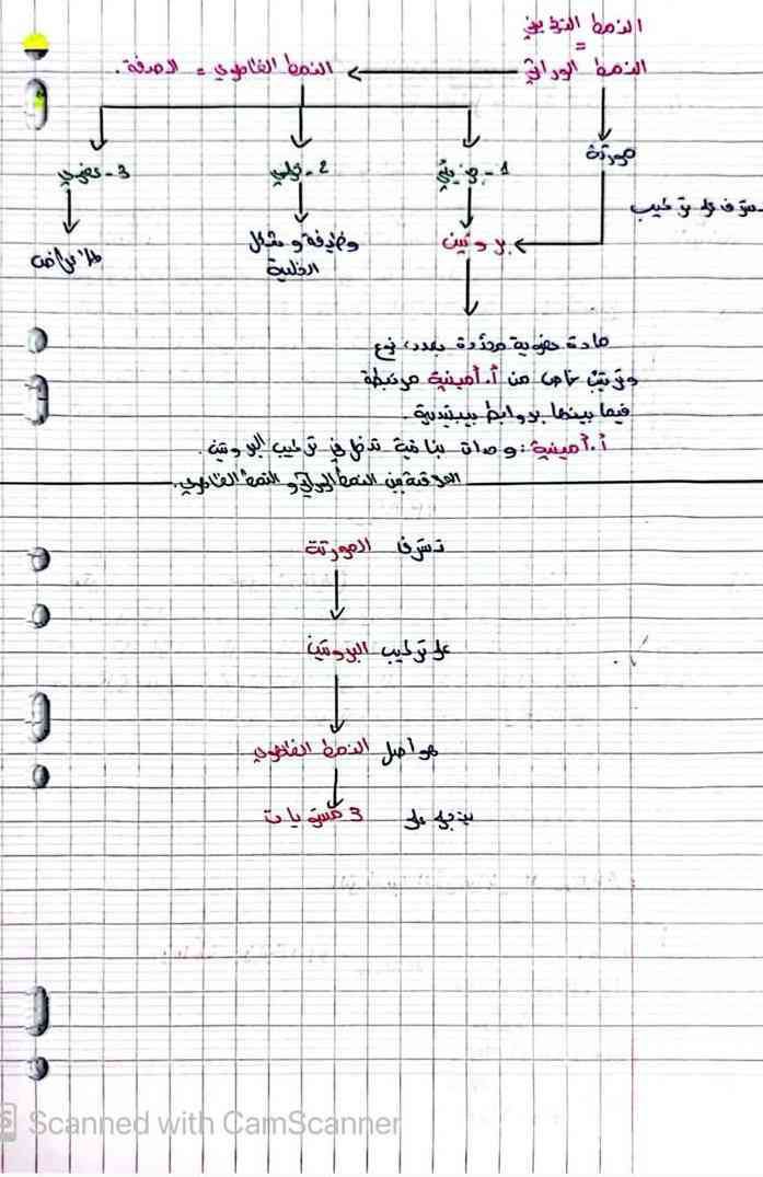 مكتسبات قبلية للعلوم 🦋