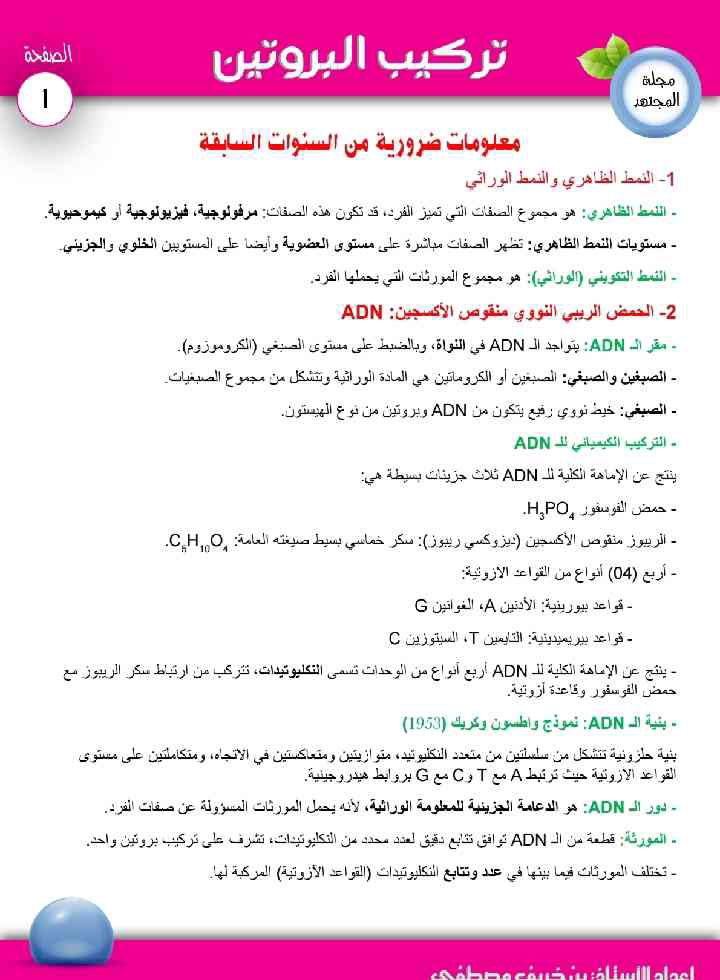 ملخص تركيب البروتين (1)