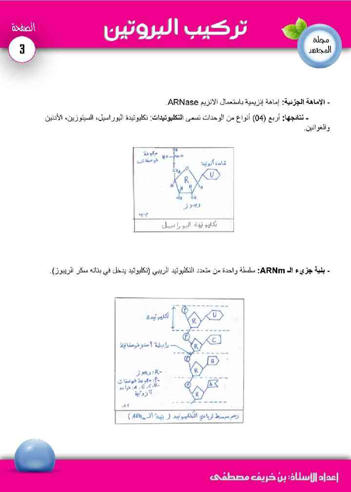 ملخص تركيب البروتين (2)